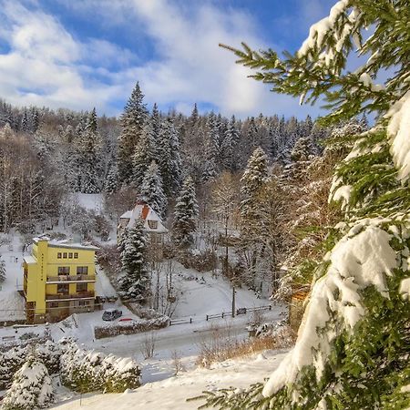 Willa Antidotum Krynica Zdroj Bagian luar foto