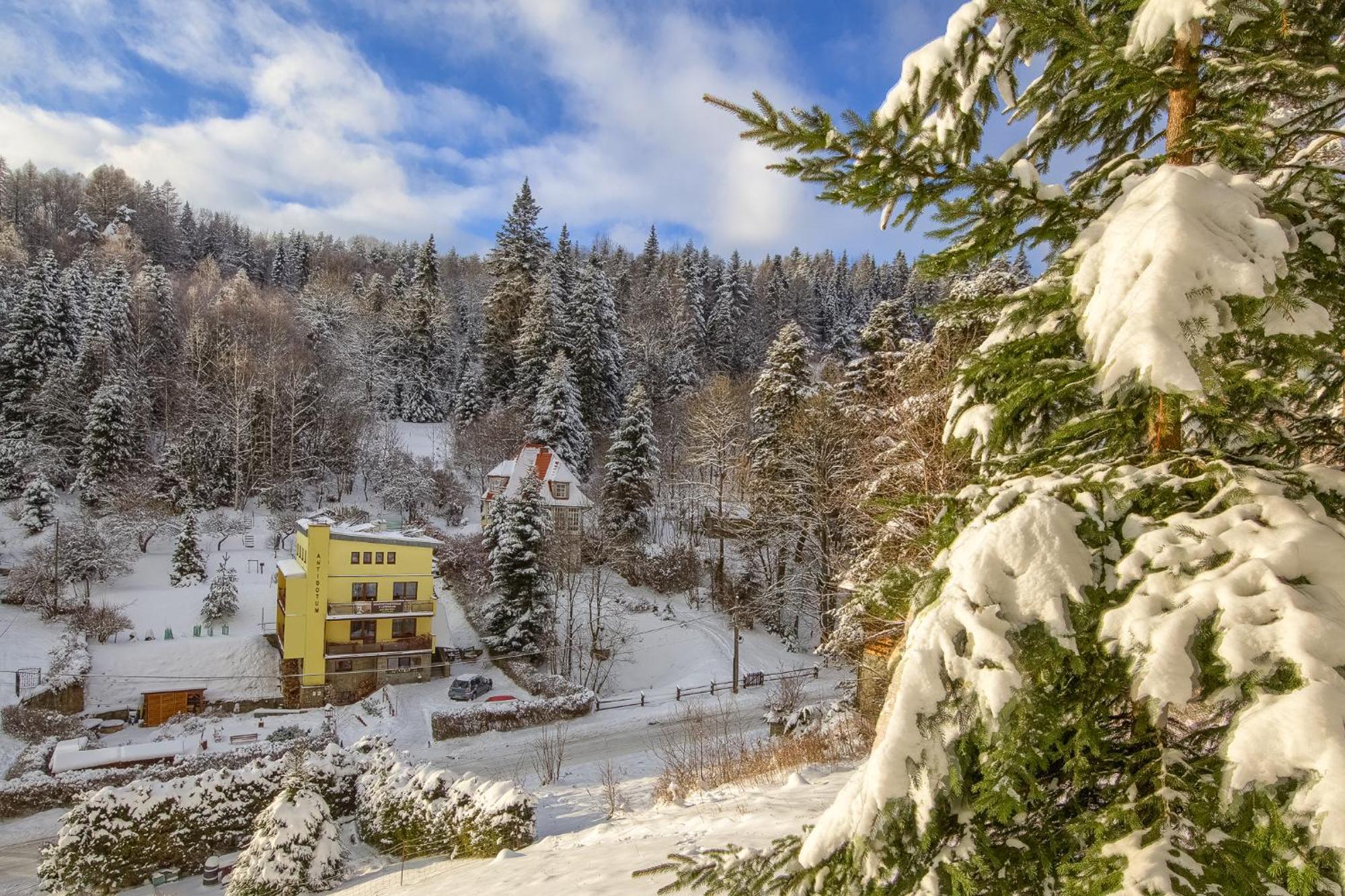 Willa Antidotum Krynica Zdroj Bagian luar foto